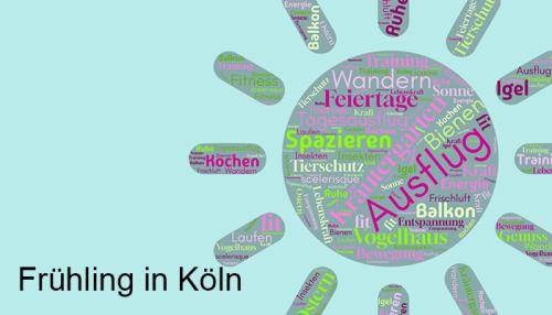 Es gibt viel zu entdecken in Köln! Foto: castleguard / Pixabay